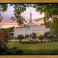 Birmingham Garden