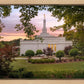 Birmingham Garden