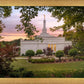 Birmingham Garden