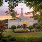 Birmingham Garden