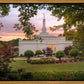 Birmingham Garden