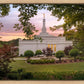 Birmingham Garden