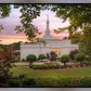 Birmingham Garden