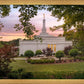Birmingham Garden