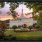 Birmingham Garden