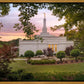 Birmingham Garden