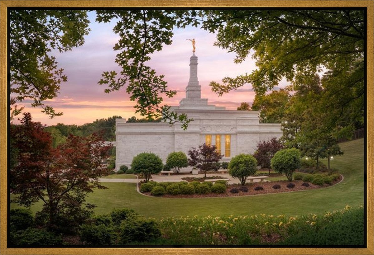 Birmingham Garden