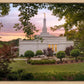 Birmingham Garden