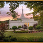 Birmingham Garden