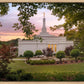 Birmingham Garden