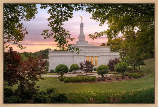 Birmingham Garden