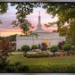 Birmingham Garden