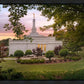 Birmingham Garden