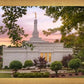 Birmingham Garden
