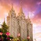 Salt Lake Tulips