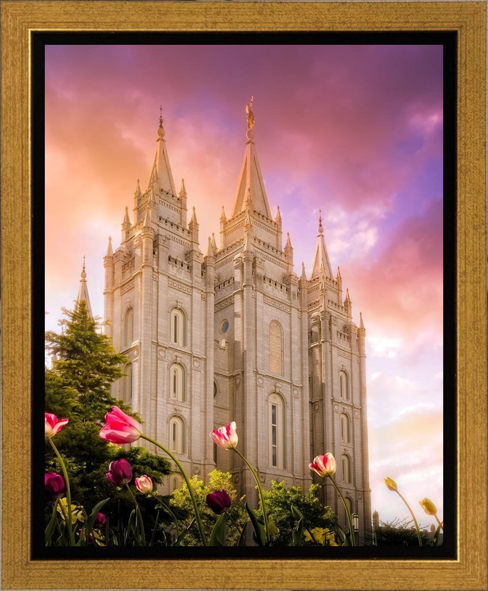 Salt Lake Tulips Gallery Wrap