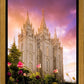 Salt Lake Tulips