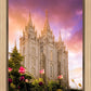 Salt Lake Tulips