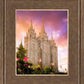 Salt Lake Tulips
