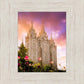 Salt Lake Tulips