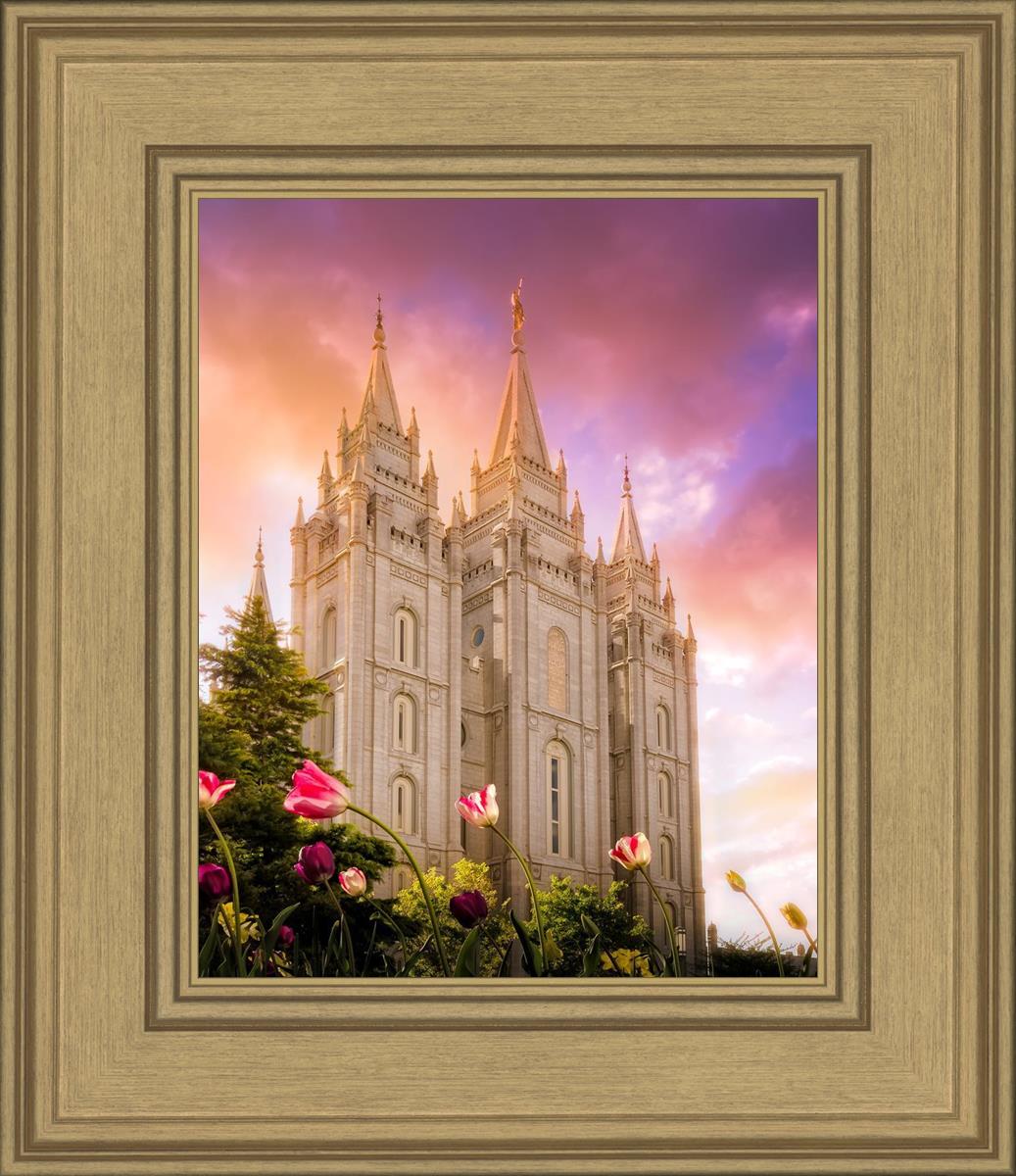 Salt Lake Tulips