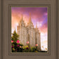 Salt Lake Tulips