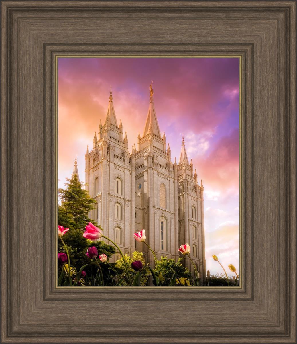 Salt Lake Tulips