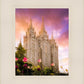 Salt Lake Tulips