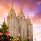 Salt Lake Tulips