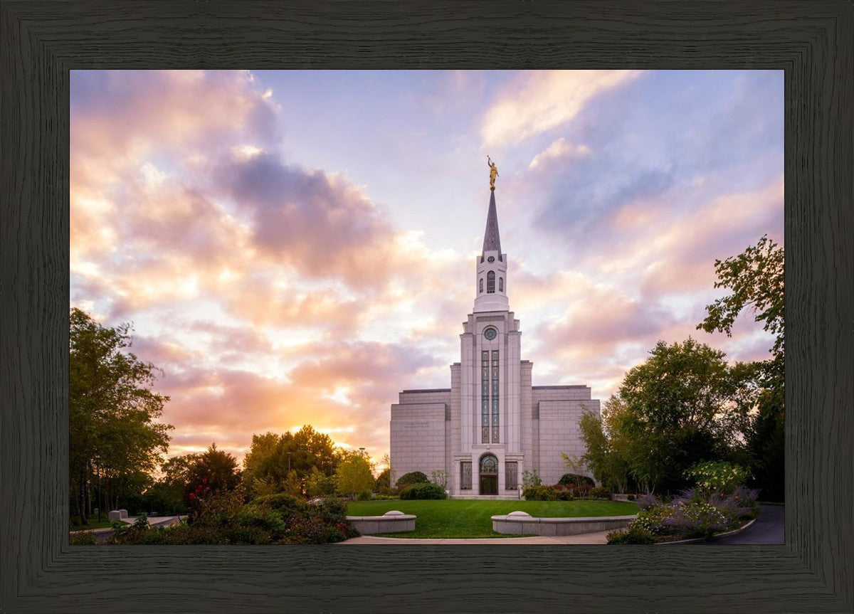 Boston Sunset