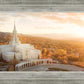 Bountiful from on High