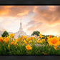 Detroit Flowers