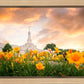 Detroit Flowers