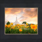 Detroit Flowers
