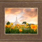 Detroit Flowers