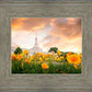 Detroit Flowers