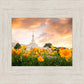 Detroit Flowers