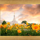 Detroit Flowers