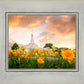 Detroit Flowers