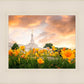 Detroit Flowers