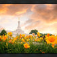 Detroit Flowers