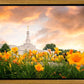 Detroit Flowers