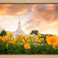 Detroit Flowers