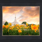 Detroit Flowers
