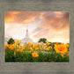 Detroit Flowers