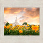 Detroit Flowers