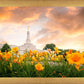 Detroit Flowers