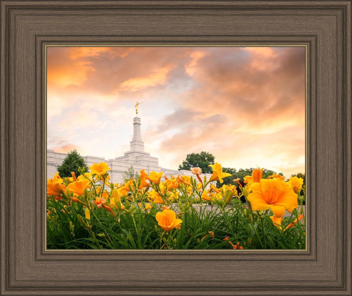 Detroit Flowers