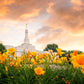 Detroit Flowers