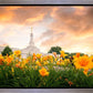 Detroit Flowers